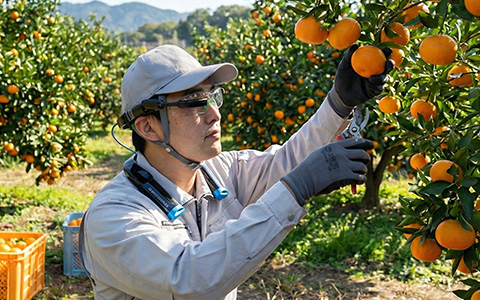 農業・畜産業での活用