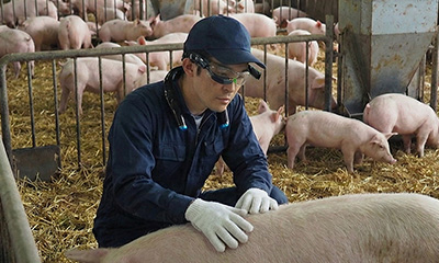 隔離環境でのスマートグラス活用